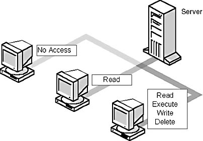 Click to view at full size.