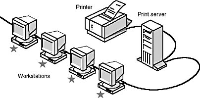 Click to view at full size.