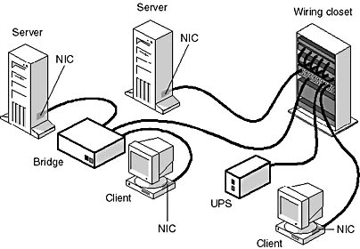 Click to view at full size.