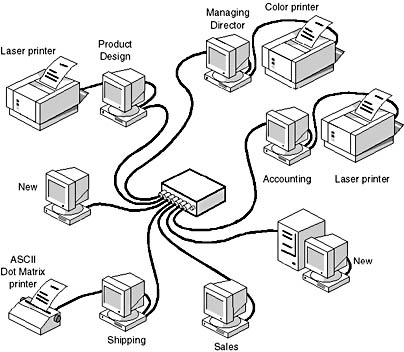 Click to view at full size.