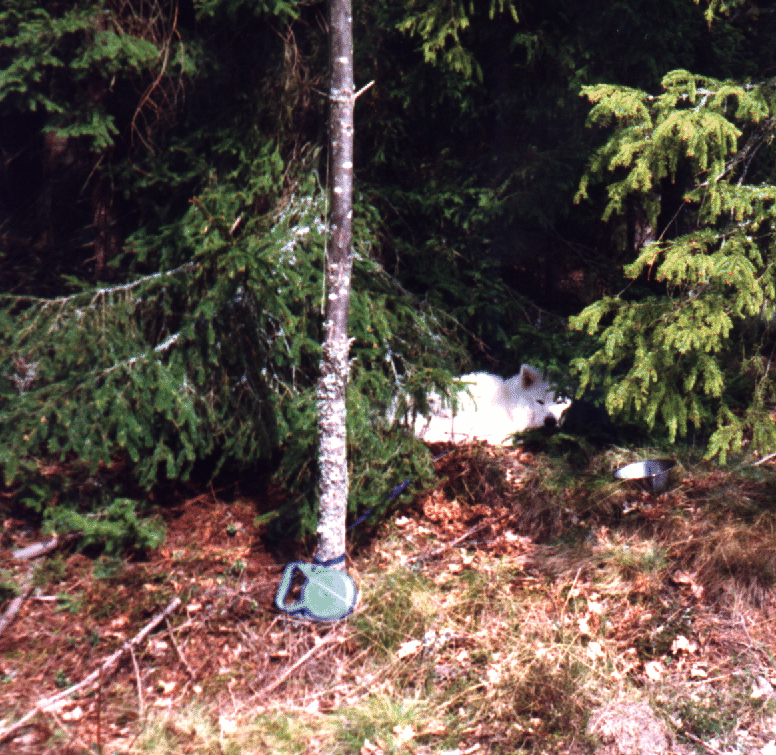 H�r har jag det bra.