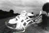 shoe.jpg (90549 bytes)