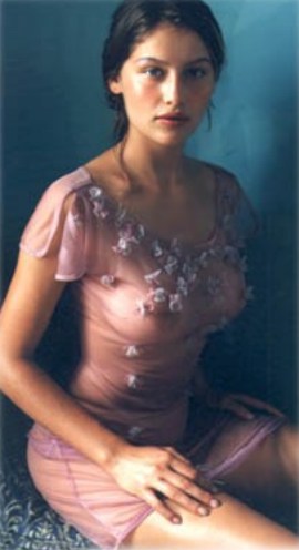 casta354.jpg (24885 byte)