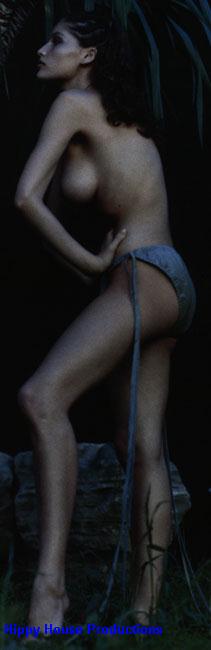 lc-376.jpg (52289 byte)