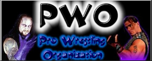 pwo1.jpg (28559 bytes)