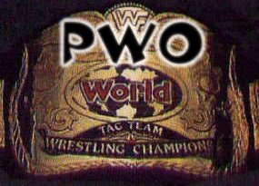 t-tag.jpg (20585 bytes)