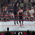 HG13S.gif