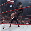 HG15S.gif