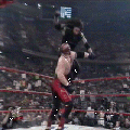 HG17S.gif