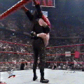HG20S.gif