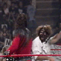 HG21S.gif