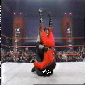 HG30S.gif