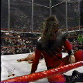 HG48S.gif
