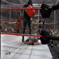 HG50S.gif
