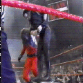 HG60S.gif