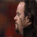 HG8S.gif