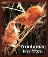 Treehouse For Two
