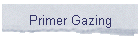 Primer Gazing
