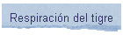 Respiraci�n del tigre