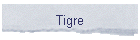 Tigre