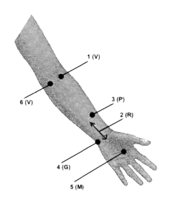 manodel.gif (18116 bytes)