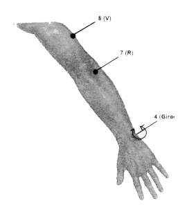 manopos.gif (18294 bytes)