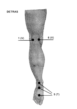 piepos.gif (19192 bytes)