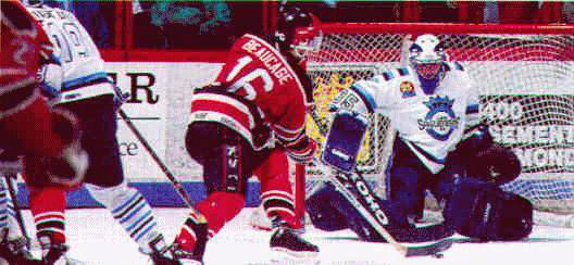 beaufich.jpg (29941 bytes)