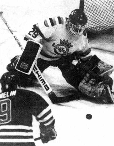 cat88.jpg (35681 bytes)