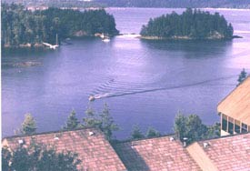 Harbor View from Townhouse