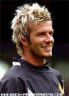 Becks Footie 48.jpg (6937 bytes)