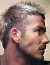 Becks Model 15.jpg (132807 bytes)