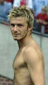 Becks Top Off 03.jpg (40742 bytes)