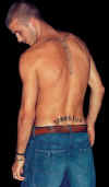 Becks Top Off 12.jpg (24658 bytes)