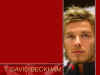 Becks Wallpaper 21.jpg (93569 bytes)
