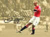Becks Wallpaper 23.jpg (153486 bytes)
