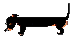 Image of dachs1.gif