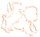 Westie and pup Outline