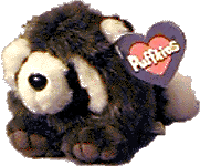 bandit.gif (12719 bytes)