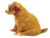 This is one of my mascots, Bronx.