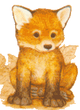 this is my most exotic mascot. Sovina. She's a fox.