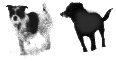 Minnie and Mikey 2Dogs Homepage