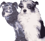 Join the Animal Lovers Ring