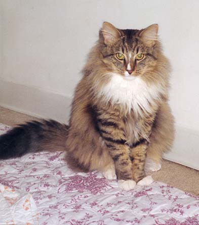 2-year old
