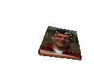 Animated Guestbook image