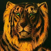 Tiger Logo of THE Underground