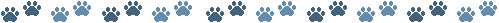 pawrul1c1.gif (1865 bytes)
