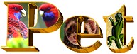 Pet