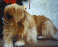 Lucy