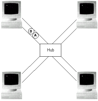 ster1.gif (14163 bytes)